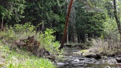 Родники вместе. Родник Ревда. Кабалинские Родники. Родник Ревда пейзажи. Кабалинские Родники картинки.