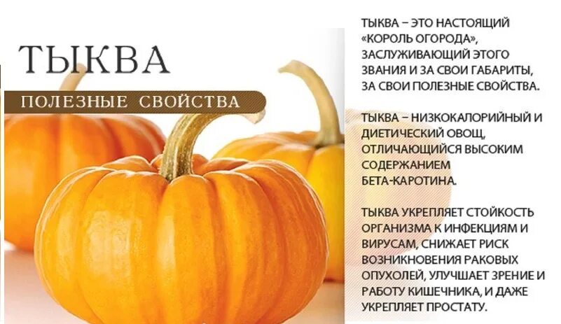 Давай тыква. Интересные факты о тыкве. тыква витамины. тыква информация для детей. интересные факты о тыкве для детей.
