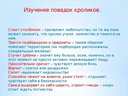 Можно найти по повадкам песня