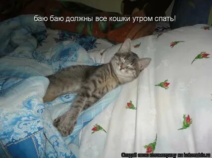 Спал с ней песня