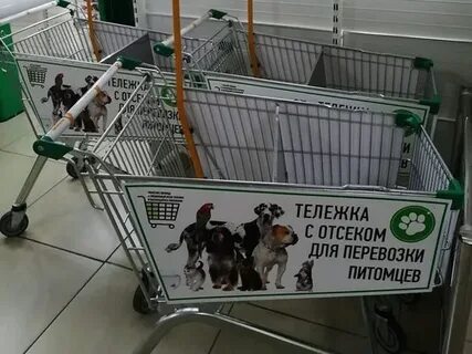 Супермаркет собака