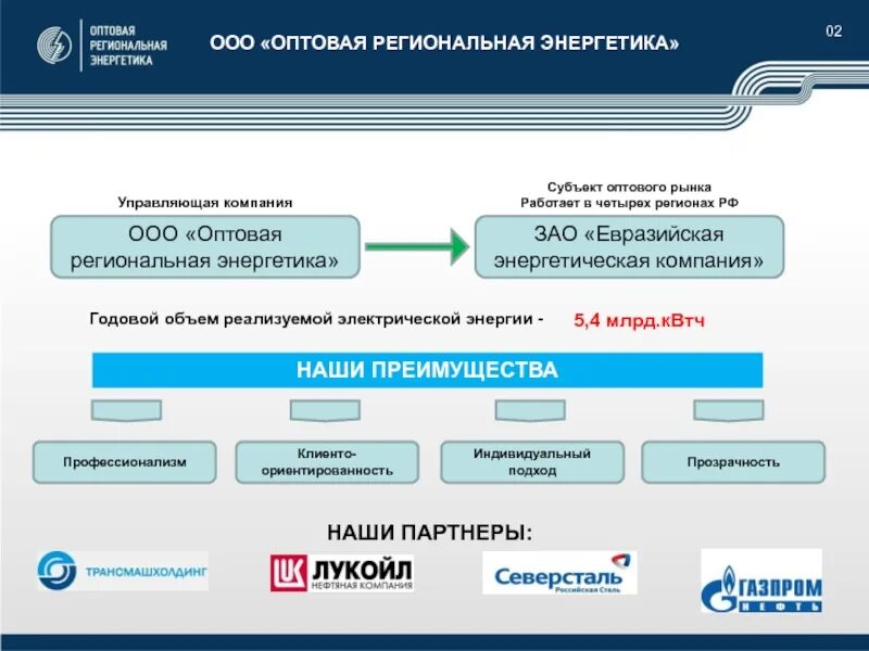 Региональные энергетические организации. Вологдаоблэнерго. Региональный комплекс. Региональная энергосбытовая компания. К энергетическим относятся.