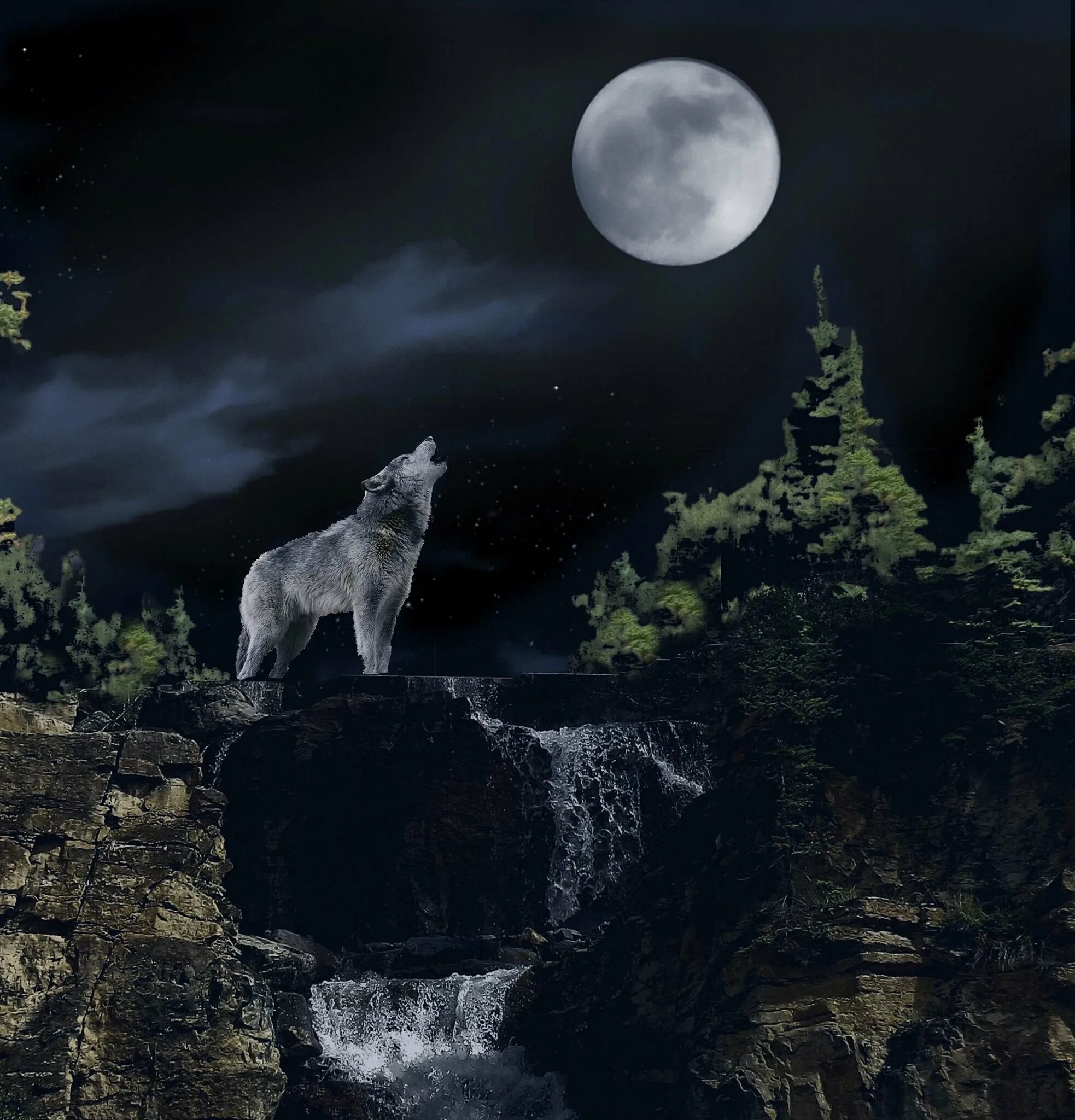 Одинокая волчица ночью. Волк в ночи. Ночные волки. Волк воет на луну. Полнолуние волк.