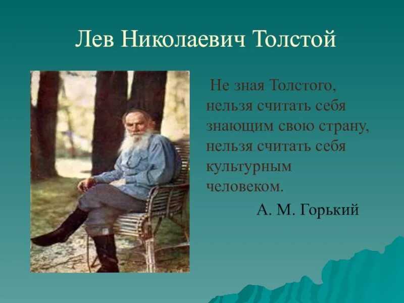 Описываем льва николаевича толстого. Лев Николаевич толстой камень. Лев Николаевич толстой мужики и камень. Л Н толстой как мужик убрал камень. Толстой описать камень.