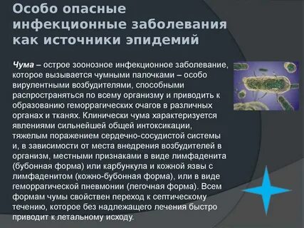 Инфекции доклад обж