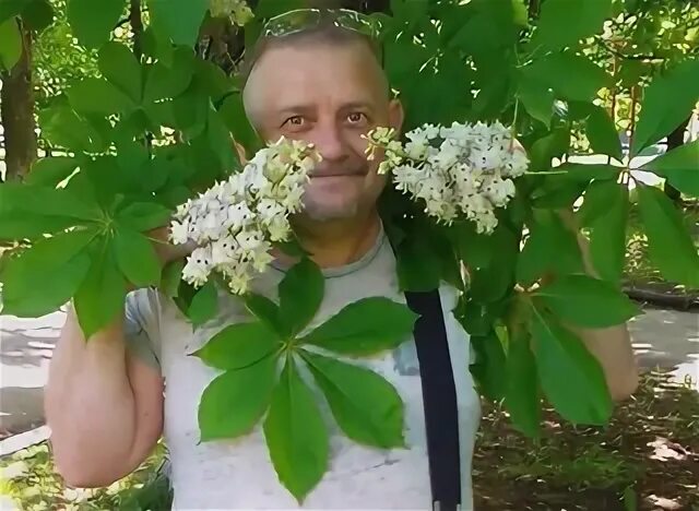 Цыба слушать