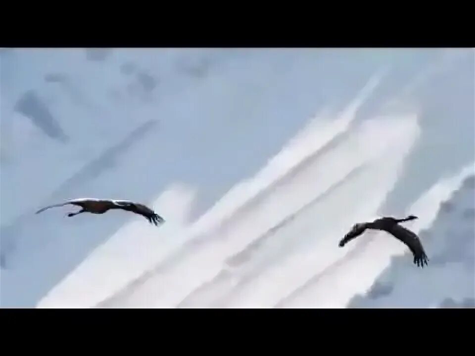 Здесь, под небом чужим. Журавли марка бернеса. Плейкаст песни журавли". Включи видео песню журавли. Включи видео песню журавли.