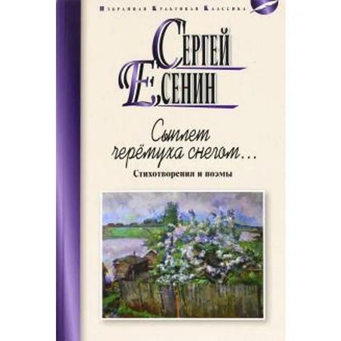 Сыплет черёмуха снегом Есенин. Стих Есенина сыплет черёмуха снегом. Стихотворение сыплет черемуха снегом Есенин. Сыплет черёмуха снегом Есенин читать. Сыплет черемуха есенин стихотворение