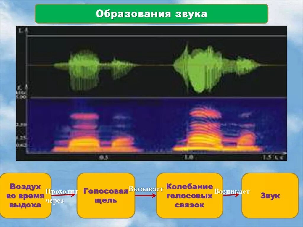 Звуки воздушный 3. Голосовое колебание. Через что проходит звук. Визуализация голосовой щели.