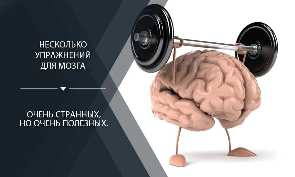 Упражнения для мозга. Тренировка мозга и памяти. Упражнения для мозгов. Гимнастика мозга. Тренажер для мозга и памяти взрослым