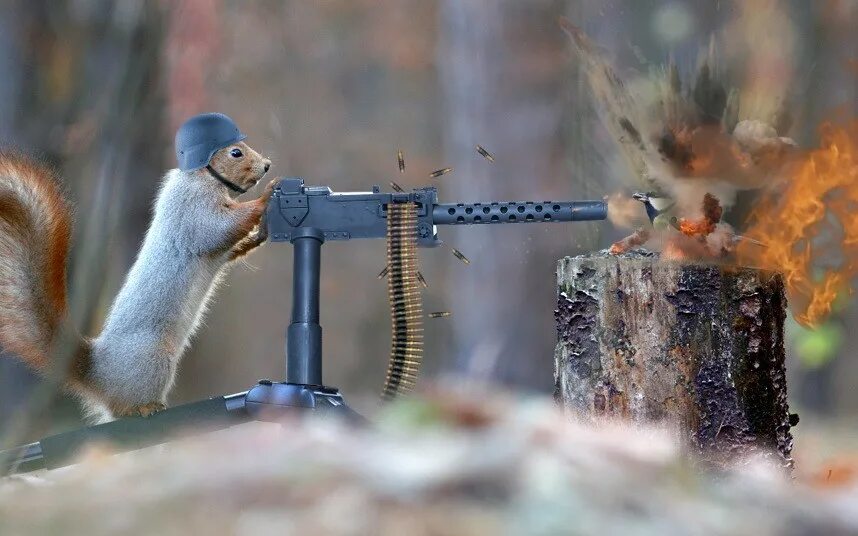 огонь пулемета. спецэффекты стрельбы. белка гангстер. глок боевой. лис с пулеметом.