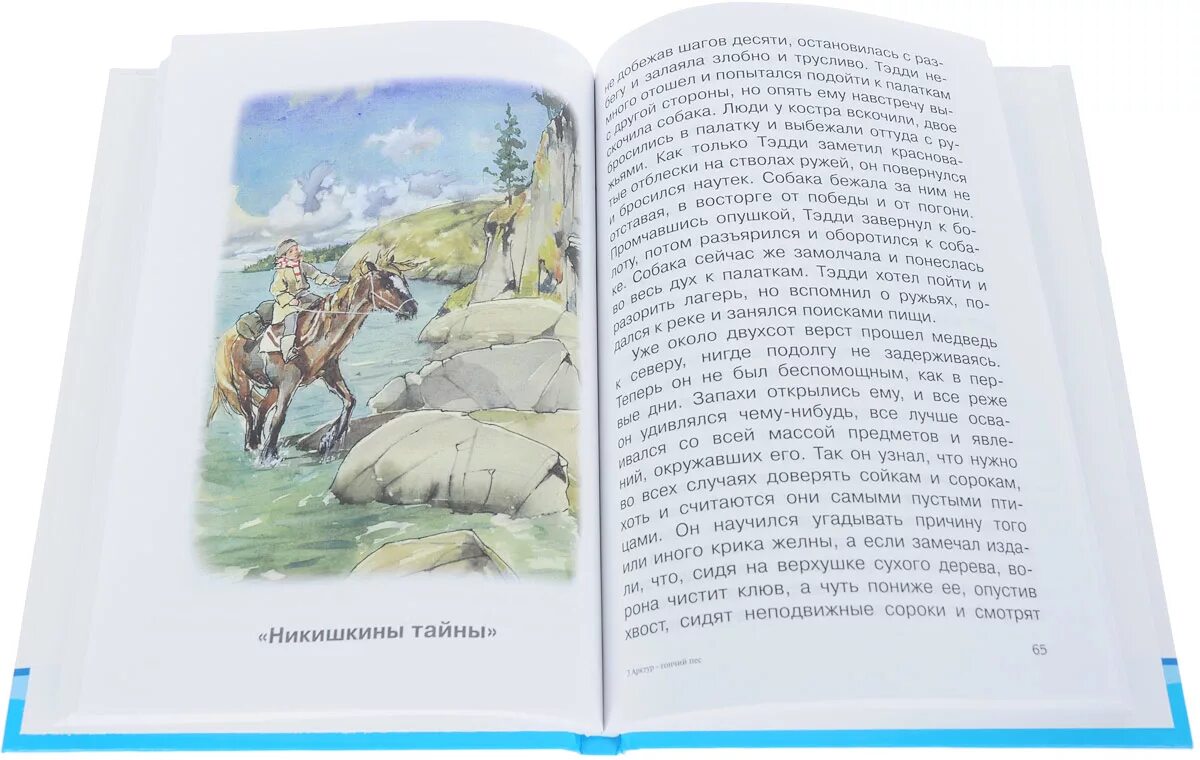 Рассказ никишкины тайны. Неотправленное письмо двое в декабре. Рассказ никишкины тайны. Никишкины тайны рисунок. Никишкины тайны книга.
