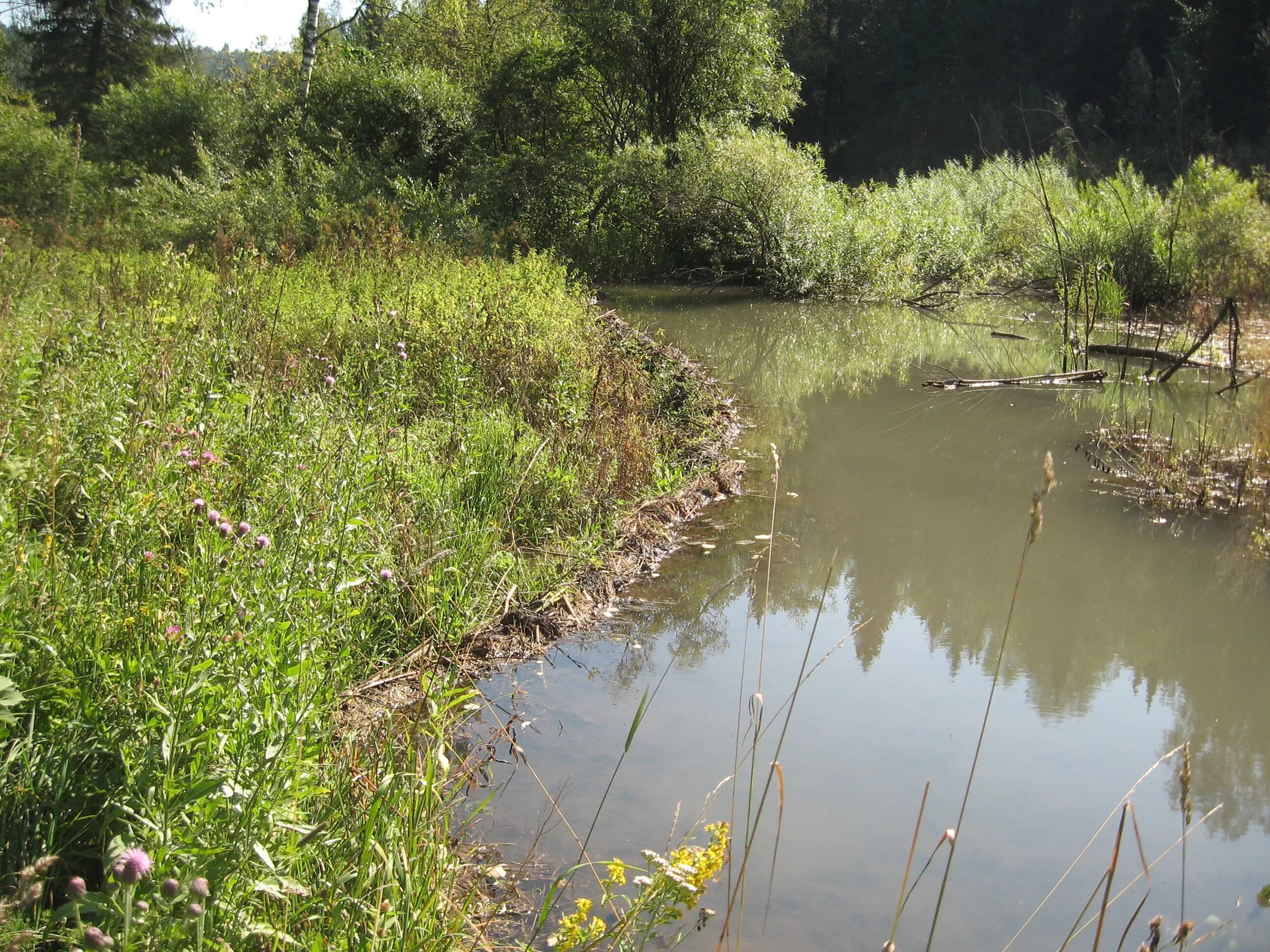 река плохого человека. река негодяев 1971. река плохого человека. река плохого человека фильм 1971. река плохого человека.