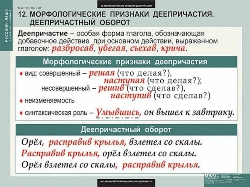 Деепричастие примеры слов. Морфологические признаки причастия 8 класс. Морфологические признаки деепричастия. Морфологические признаки дее. План разбора деепричастия.