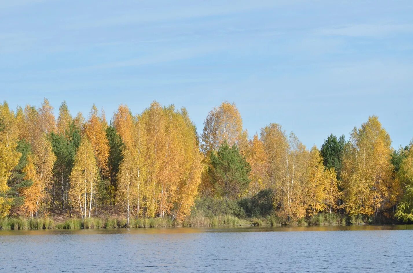 Река Вагай Тюменская область. Природа Тюменского района. Тюменская область природа Тюмень природа. Вагай (река в Тюменской обл.). Все о тюменской области