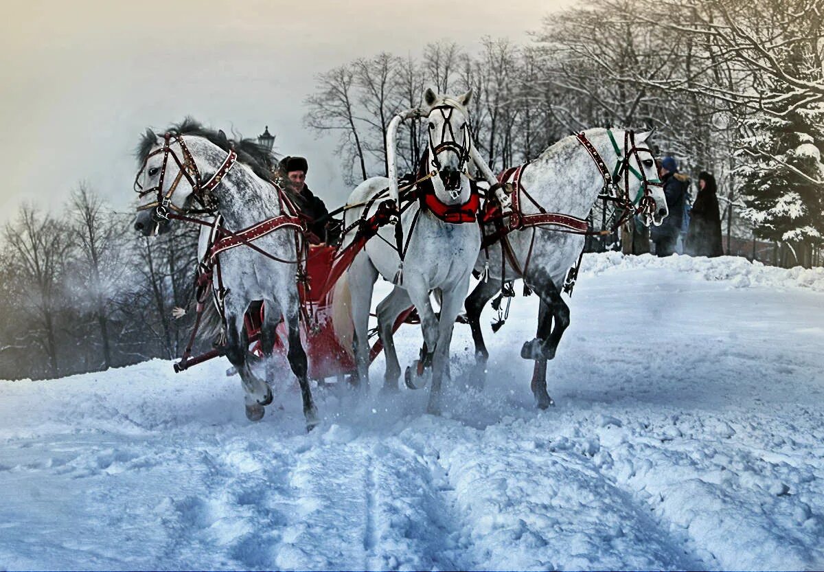 Русская тройка. Птица тройка. Русь тройка. Русь птица тройка.