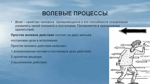 Интеллектуально волевое состояние
