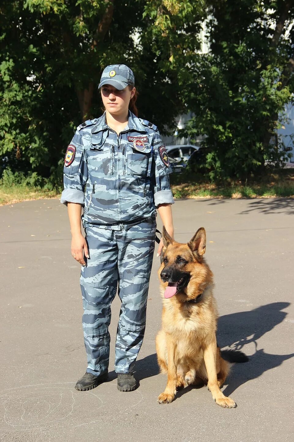 Кинолог во владимире