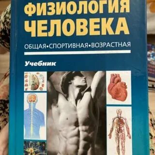 Физиология человека краткий курс