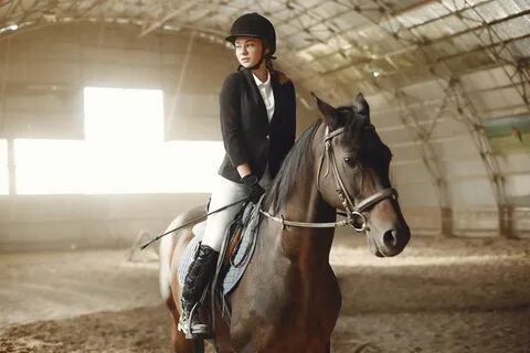 How horse