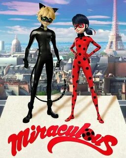 Lady bag and the cat noir