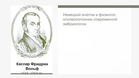 Ученые анатомы