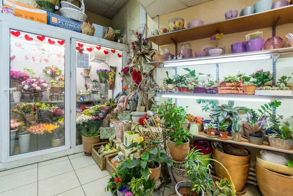 интерьер цветочного магазина. красивый цветочный магазин. цветочный магазин лето интернет магазин. красивый цветочный магазин. цветочный магазин лето интернет магазин.