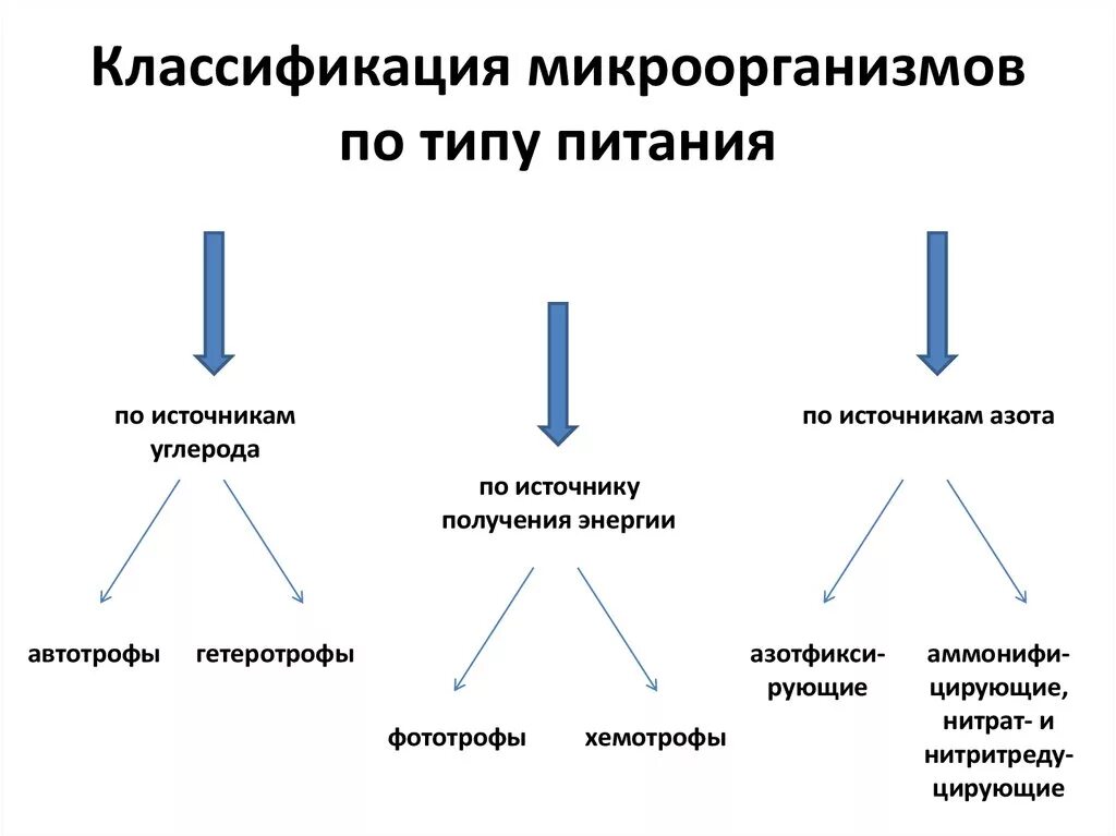 Источники энергии бактерий. Питание бактерий по источнику углерода. Классификация микроорганизмов по источнику питания. Классификация бактерий по типу углеродного питания. Классификация микробов по типу питания.