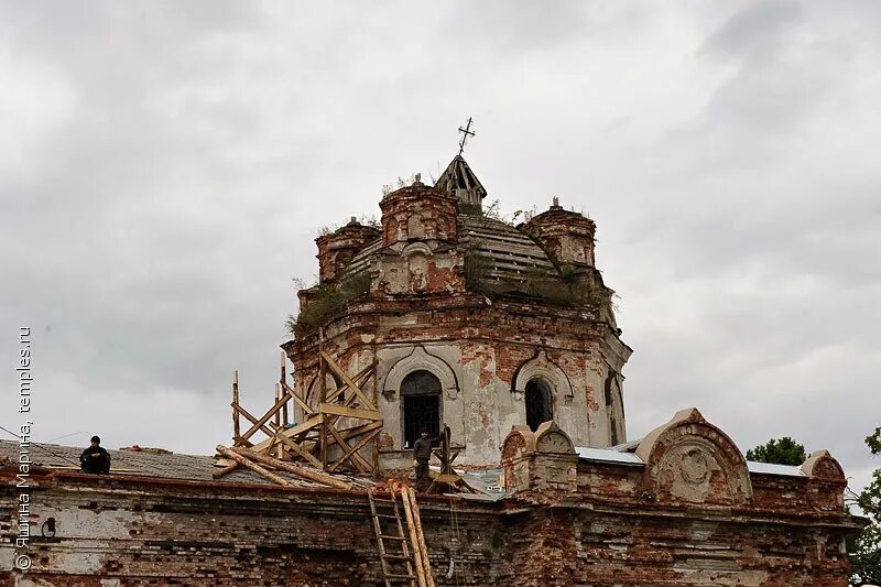 Голино новгородская. Голино новгородская область. Деревня голино новгородская область. Деревня голино. Голино новгородская.