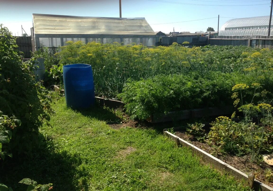 уктуз бердюжский район. истошино храм. село уктуз бердюжского района. пеганово бердюжский район. деревня уктуз бердюжского района.