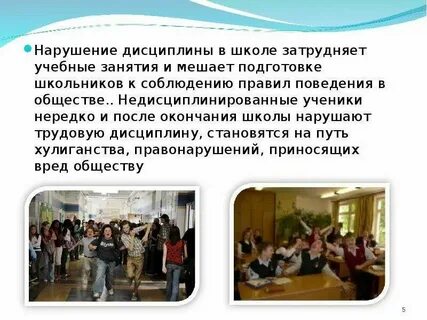Проект дисциплины в школе