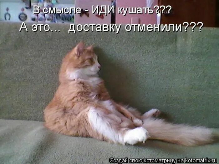 Сначала поем. Сначала покушай. Лучше один раз сделать чем не сделать и пожалеть. Сначала покушай. Мем толстый мальчик смеется.