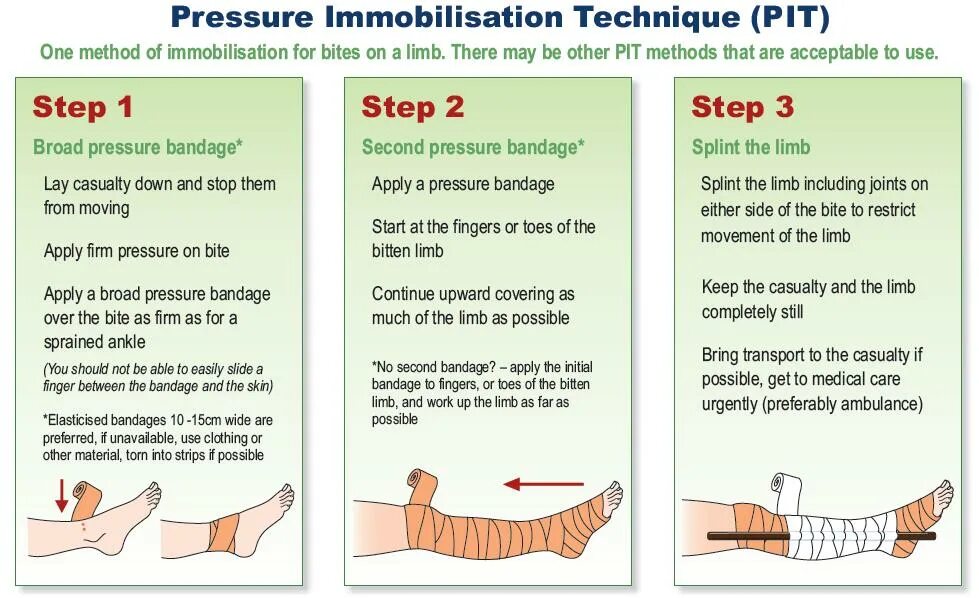 Step method. Dressing Bandage разница.