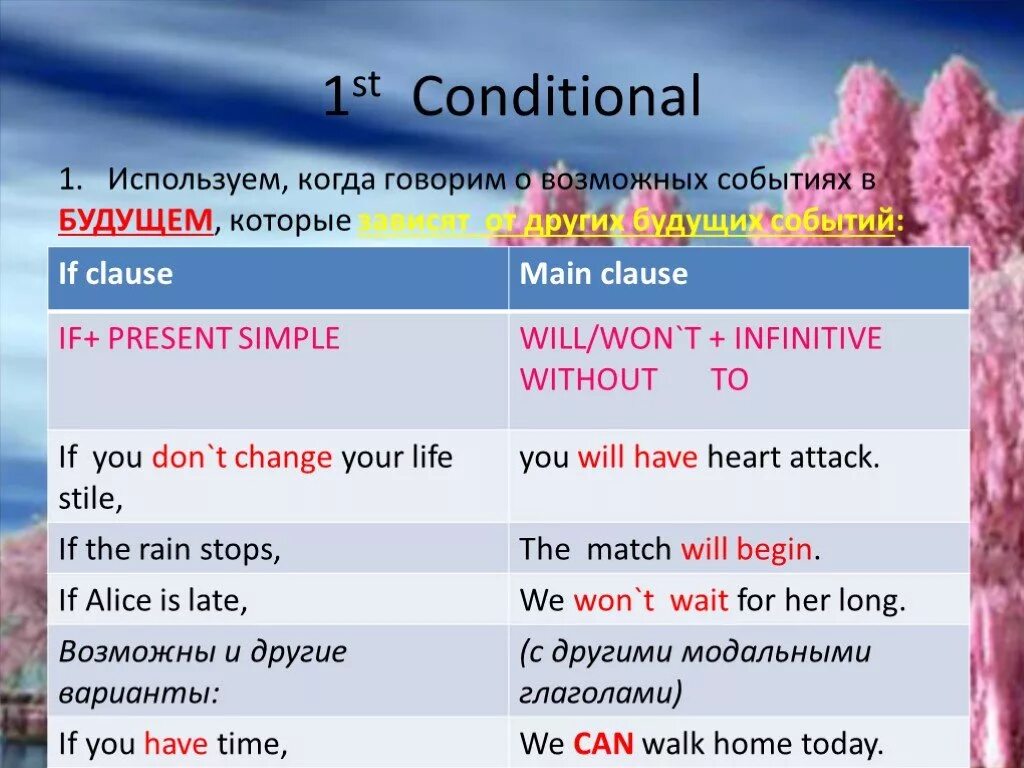 4 first conditional. Предложение 1st Zero conditional. 1st conditional sentences. First conditional правило. Предложения conditional 1.