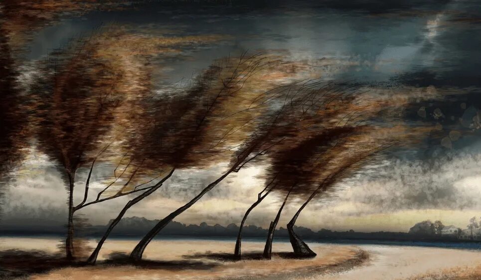 Дерево сильная буря. Пейзаж с ветром. Картина ветер. Пейзаж настроения. Пейзажагроза», «ветер»..