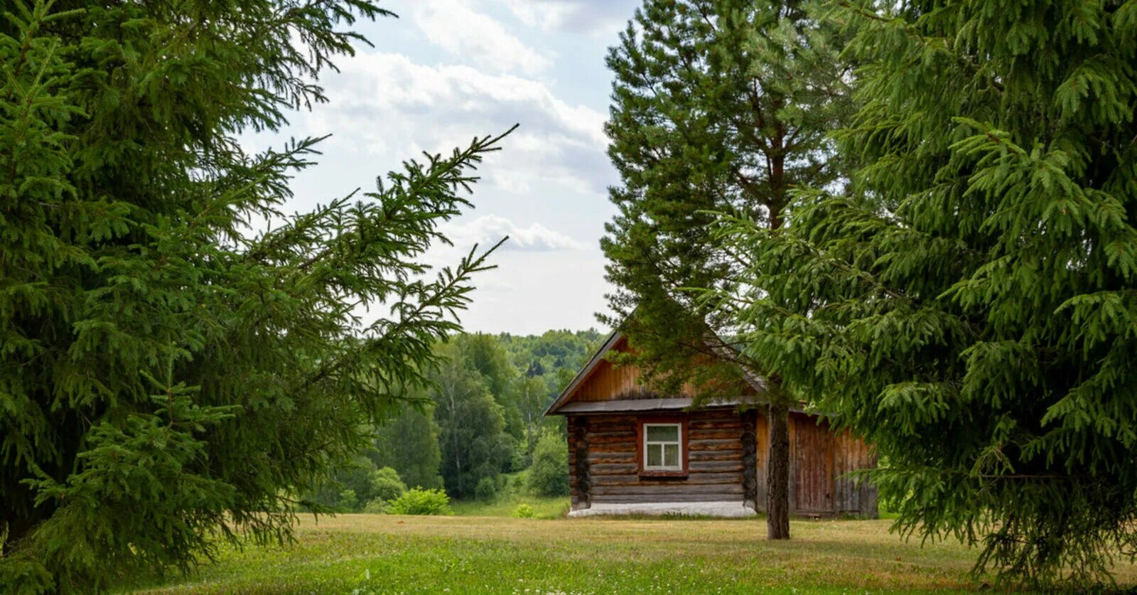 Домик в лесу в Башкирии. Дом тишины. Леса Башкортостана. Хвойный лес Башкирии. 280 лесная амнистия