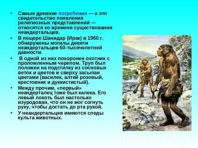 Становление человека конспект. Захоронения неандертальцев. Погребения неандертальцев. Палеоантропы период существования.