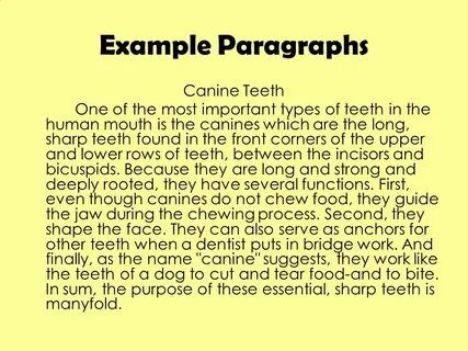 Paragraph example