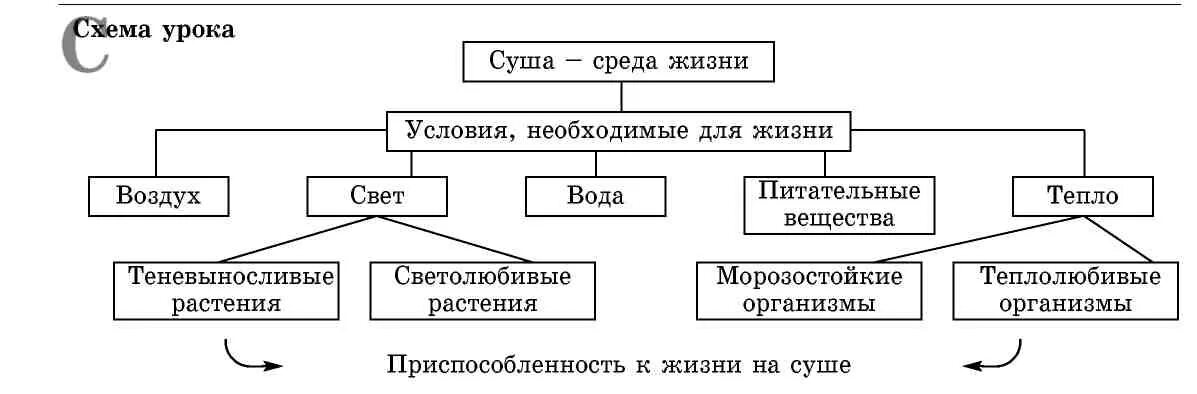 Какие ресурсы необходимы для жизни животных. Условия необходимые для жизни животных. условия необходимые для жизни. схема жизни. . условия,необ\ходимые для жизни животных.
