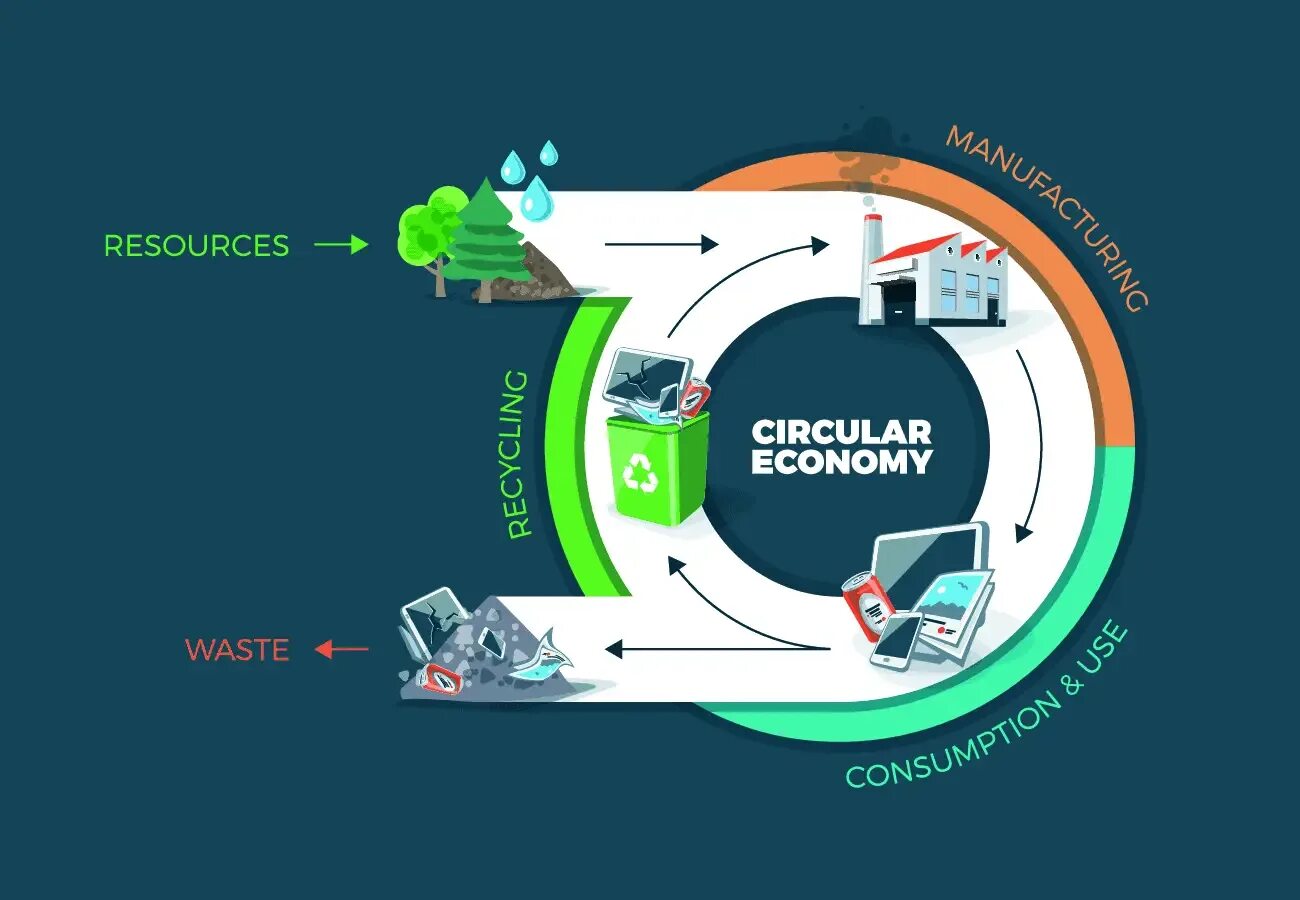Linear economic model. Circular and linear economy. 4 принципа циркулярной экономики. Economy wasted. Экономика замкнутого цикла схема.
