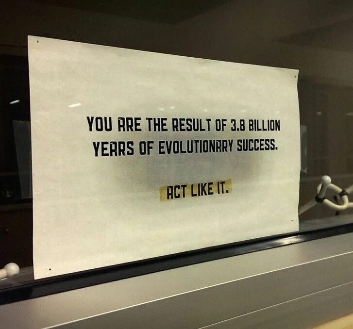 Act like. Ведите себя подобающе. You are the Result of 3.8 billion years of Evolutionary success Act like it перевод. Вести себя подобающе это как. Ты результат миллионов лет эволюции.