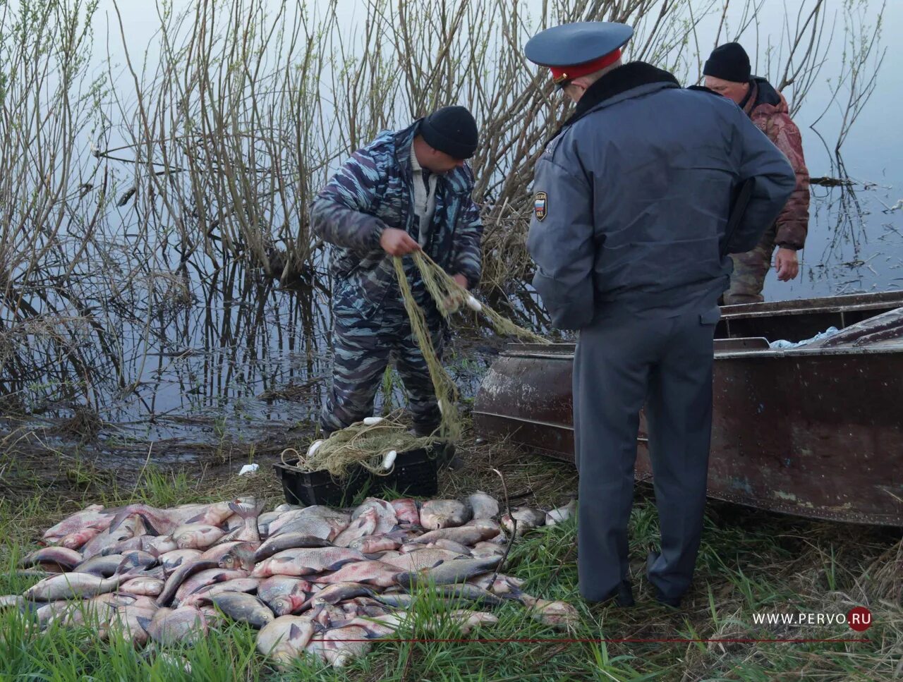 Добыча водных биоресурсов. Браконьеры в Курганской области.