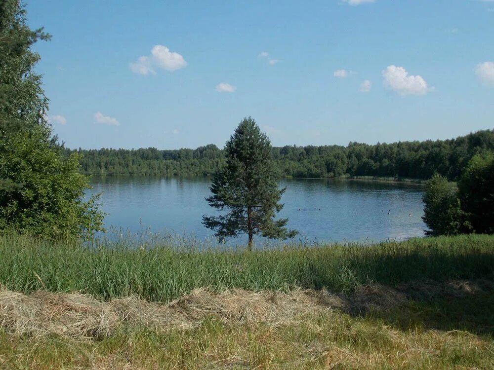 Озеро светлояр какой город. Озеро Светлояр. Озеро Светлояр Нижегородская. Китеж град озеро Светлояр. Озеро Китеж Нижегородская область.