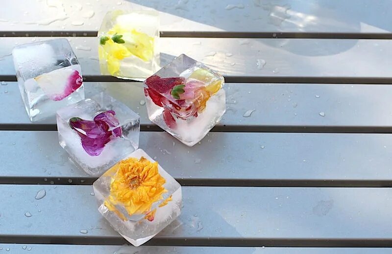 Можно ли заморозить цветы. Кубики льда с цветами. Кубики льда с цветами внутри. Лед с цветами внутри. Съедобные цветы в кубиках льда.