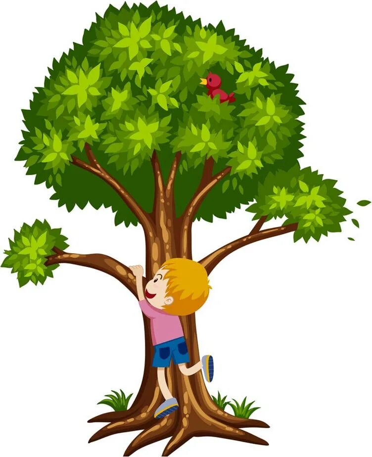 I can see a tree