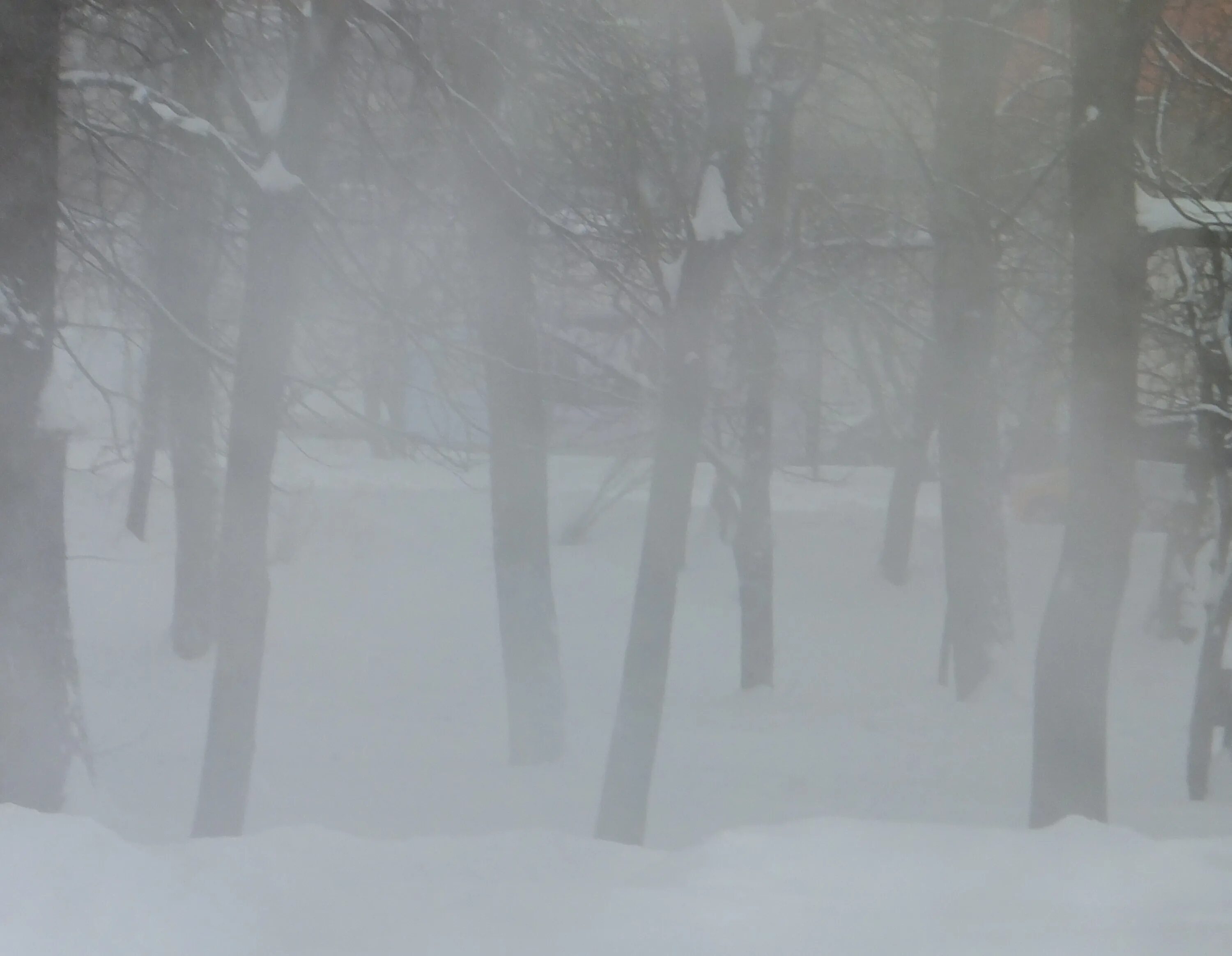 Enshrouded сумы с пеленой. Пелена. Пелена картинка. Пелена зимой. Сплошная пелена на небе.