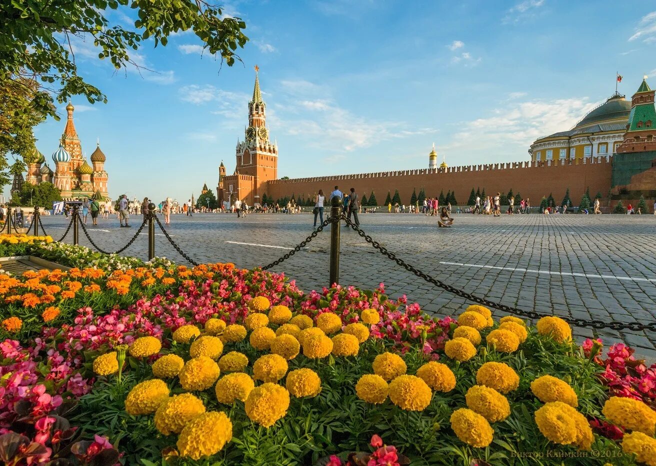 Именно россии. Москва лето. Летняя Москва. Солнечное лето в Москве. Красивая Москва летом.