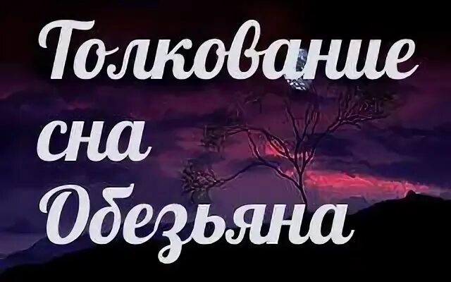 Толкование снов обезьяна