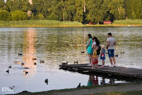 Кубань кострома