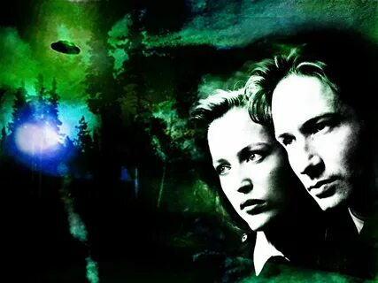 T me x files stealer беларусь